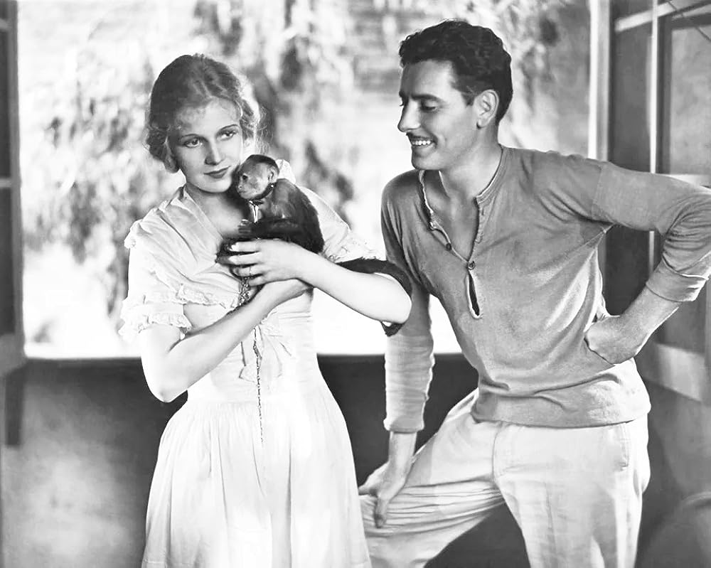 曳かれゆく男の画像