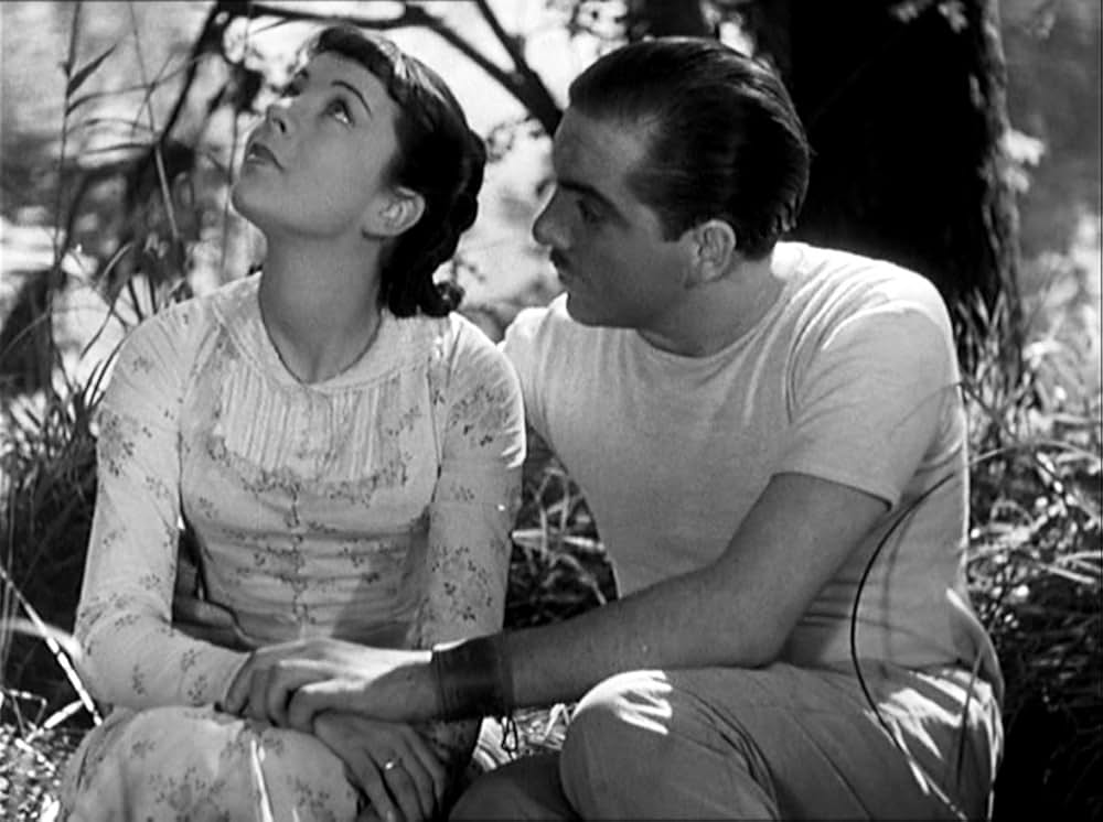 ピクニックの画像