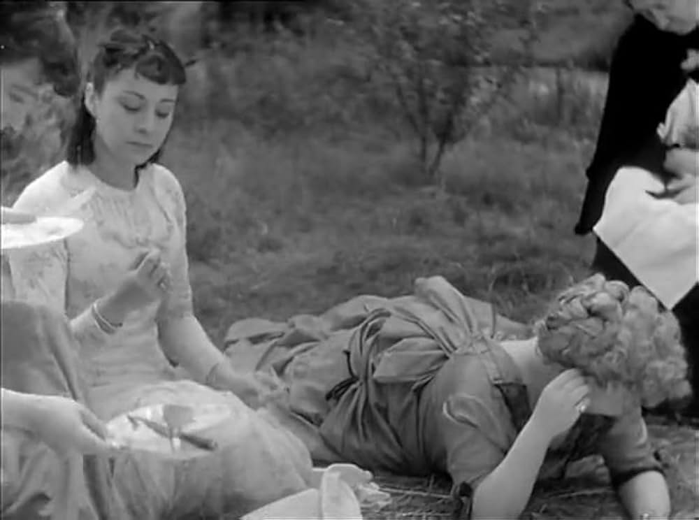 ピクニックの画像