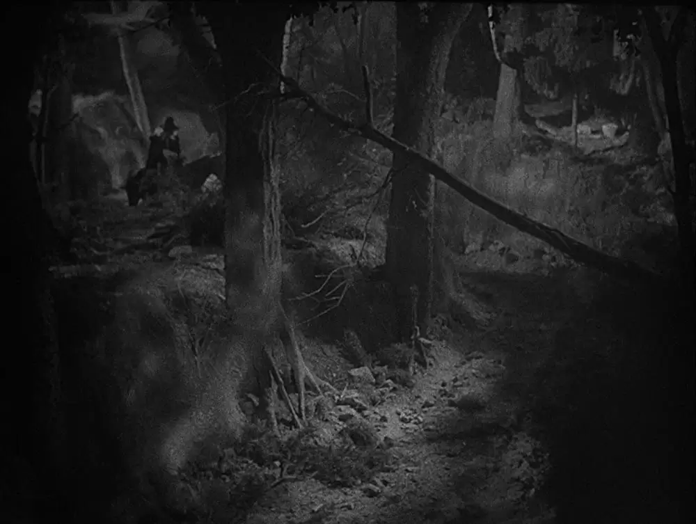 美女と野獣の画像