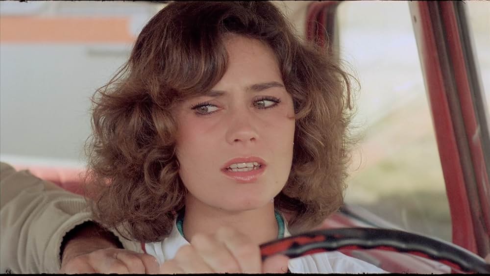 ヒッチハイクの画像