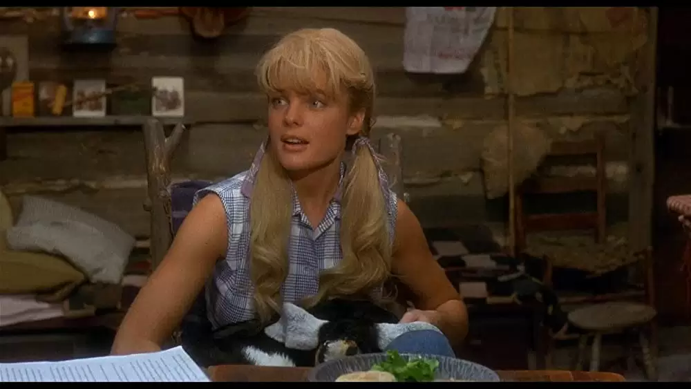 ビバリー・ヒルビリーズ じゃじゃ馬億万長者の画像