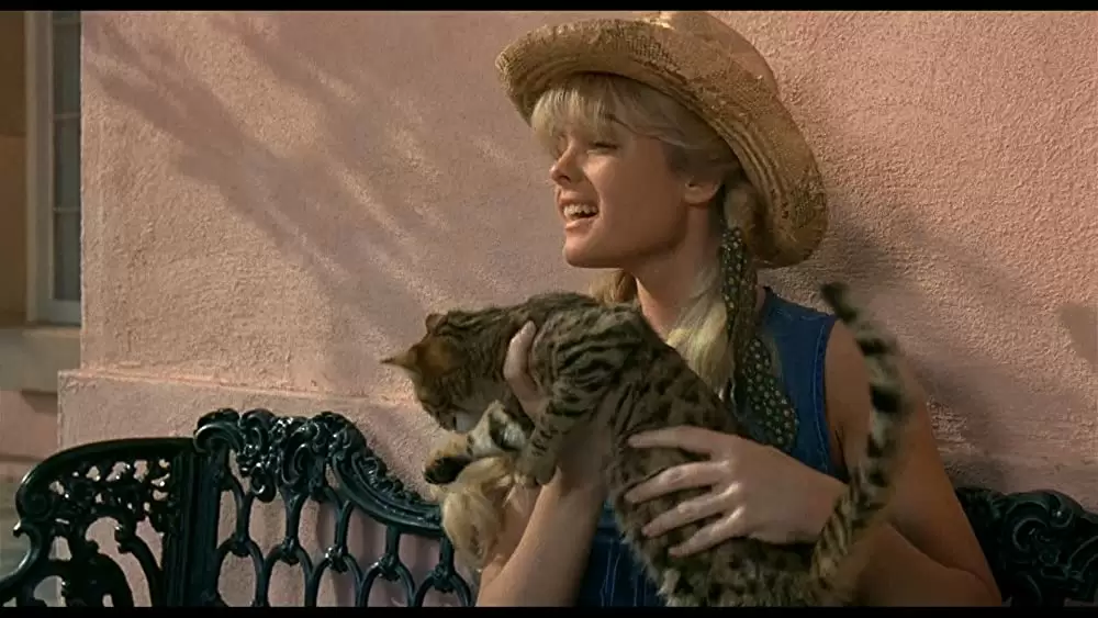 ビバリー・ヒルビリーズ じゃじゃ馬億万長者の画像