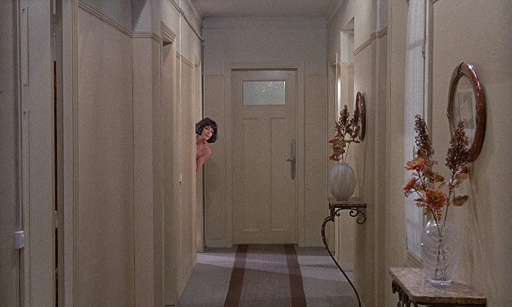 昼顔の画像