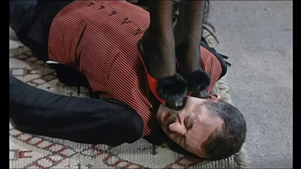 「昼顔」Françoise Fabianの画像