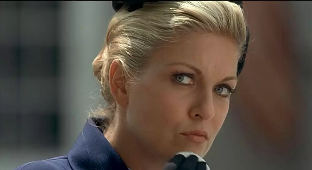 「ファイヤーワークス」シェリル・リーの画像