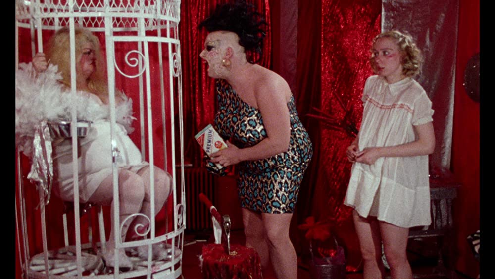 フィメール・トラブルの画像