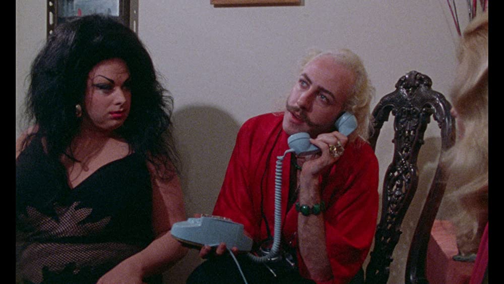 フィメール・トラブルの画像