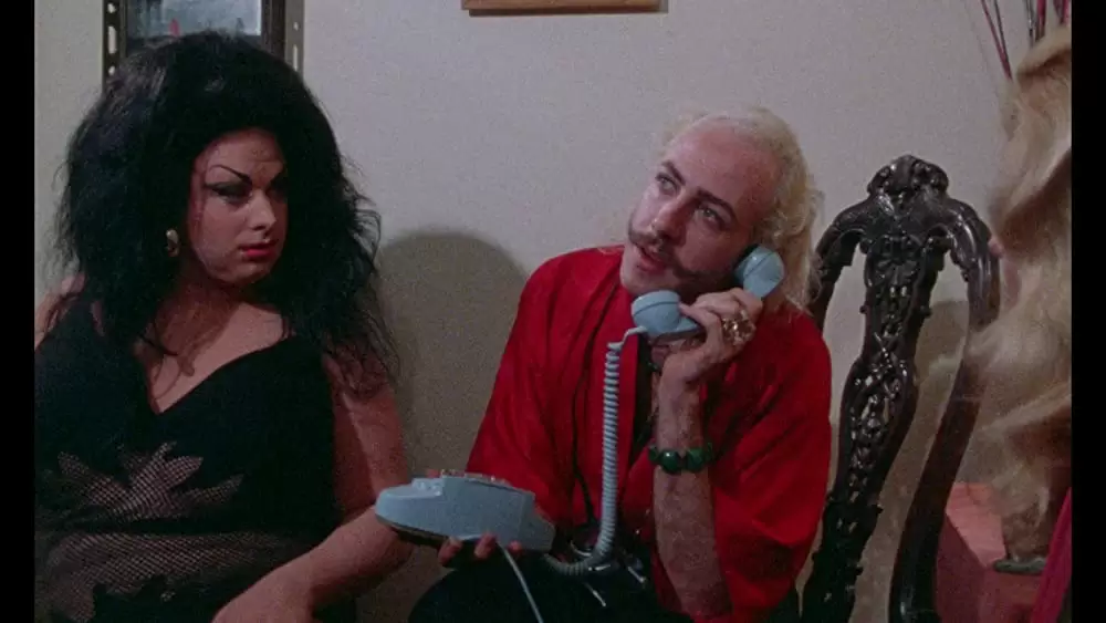 「フィメール・トラブル」ディバイン & デビッド・ローチャリーの画像