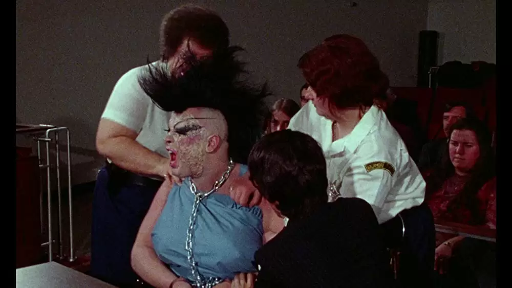 フィメール・トラブルの画像