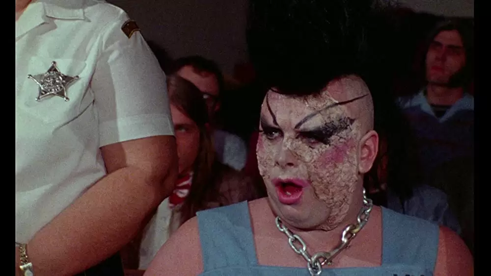 フィメール・トラブルの画像