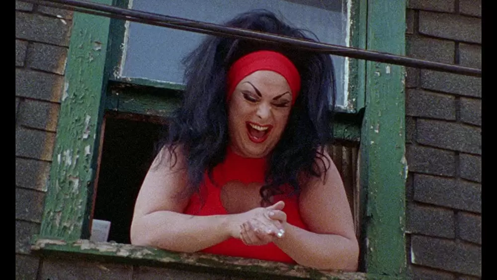 フィメール・トラブルの画像