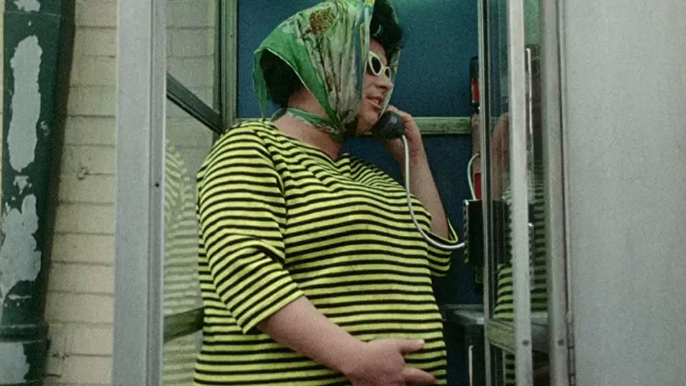 フィメール・トラブルの画像