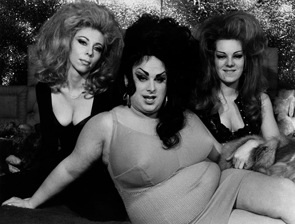 フィメール・トラブルの画像