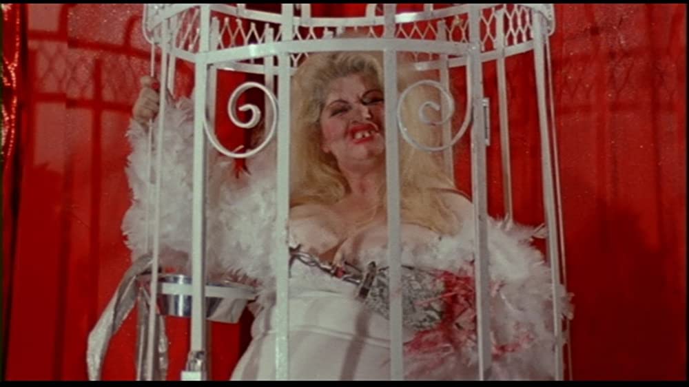 フィメール・トラブルの画像