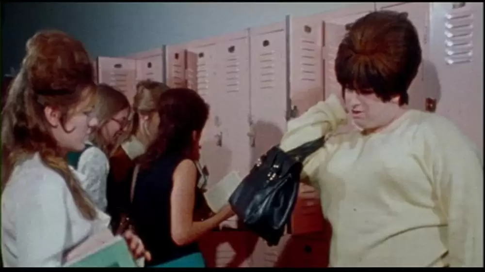 フィメール・トラブルの画像