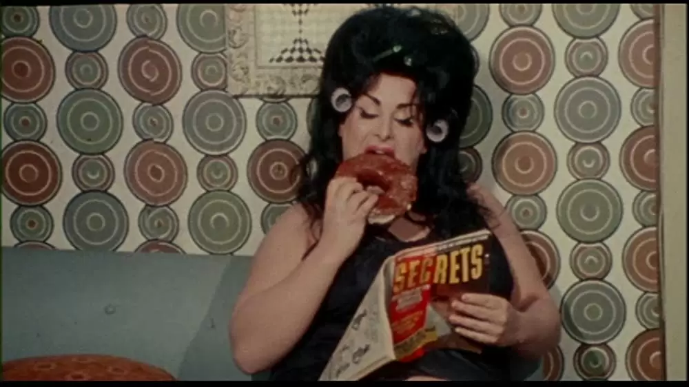 フィメール・トラブルの画像