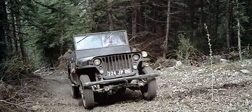 ブーメランのようにの画像