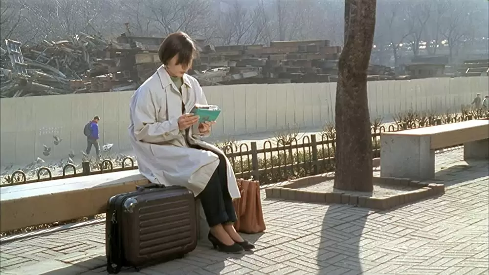 豚が井戸に落ちた日の画像