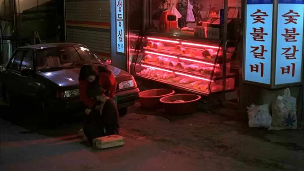 豚が井戸に落ちた日の画像