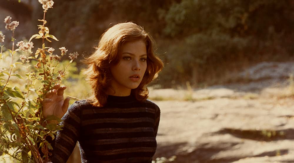 ふたりだけの恋の島の画像