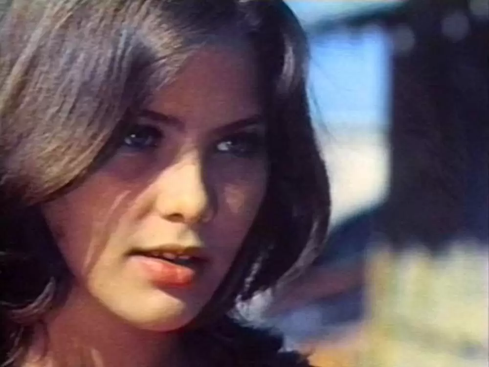 ふたりだけの恋の島の画像