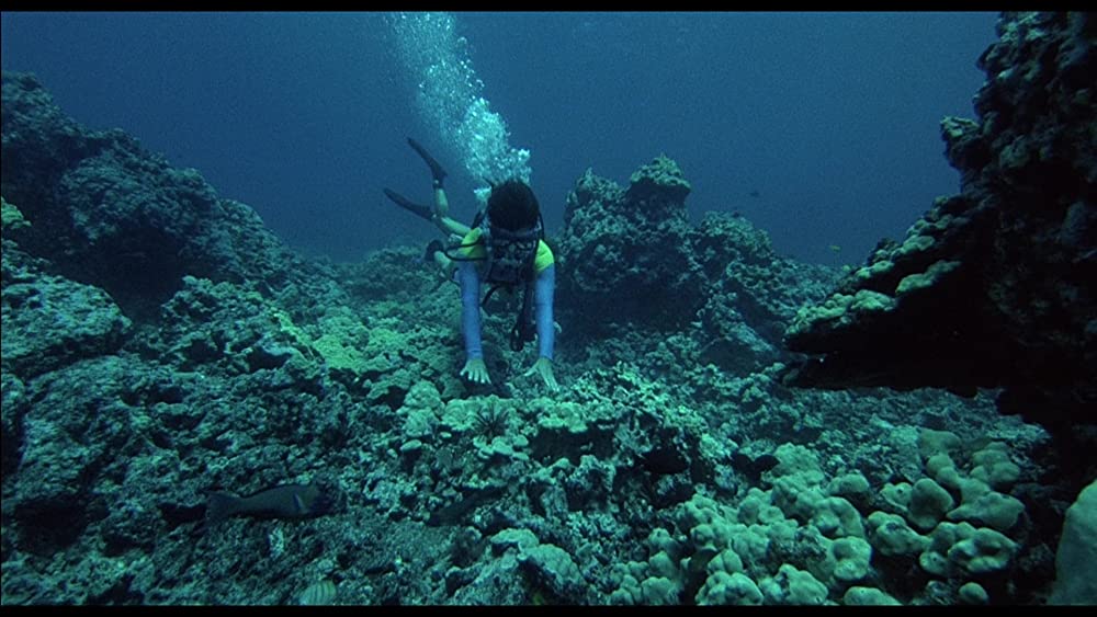 ブラック・ウィドーの画像