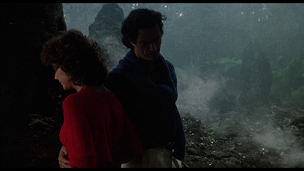 ブラック・ウィドーの画像