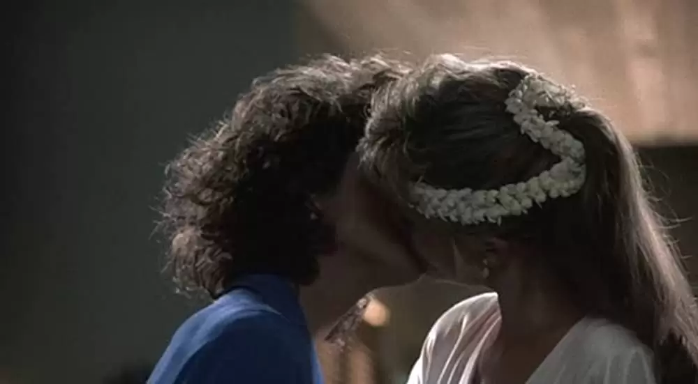 ブラック・ウィドーの画像