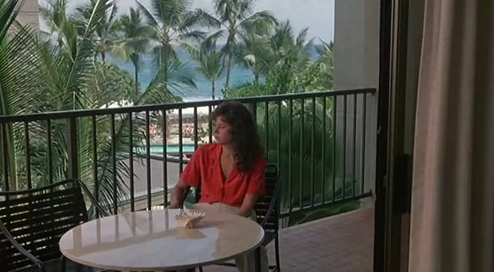 ブラック・ウィドーの画像