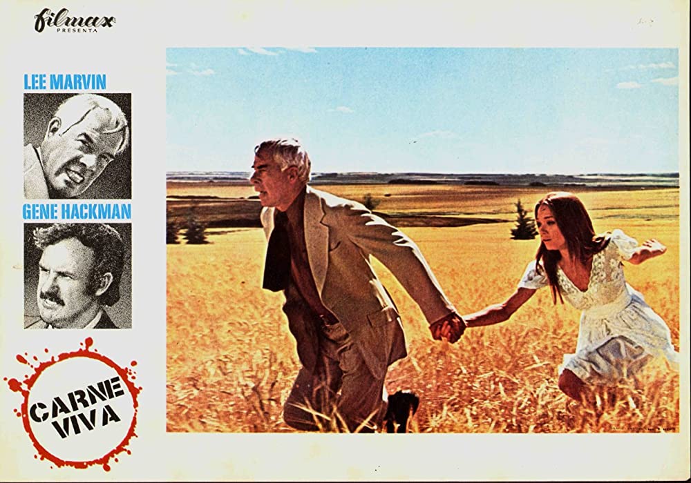 ブラック・エースの画像