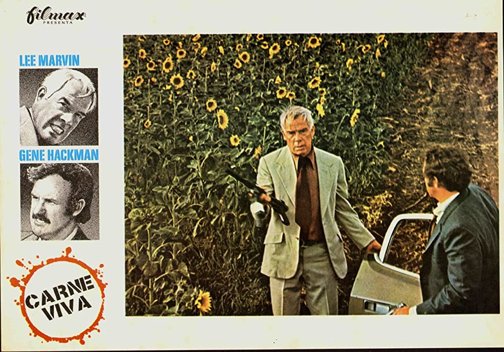 ブラック・エースの画像