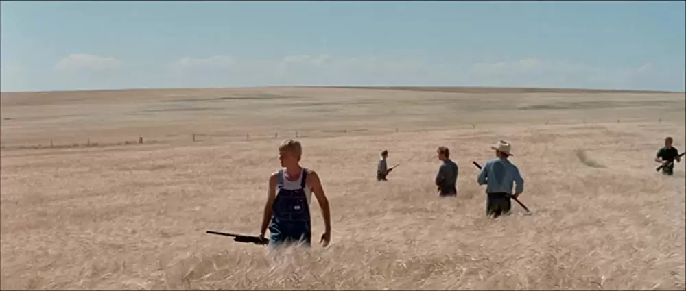 ブラック・エースの画像