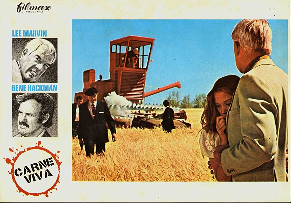 ブラック・エースの画像