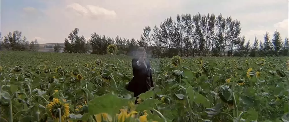 ブラック・エースの画像