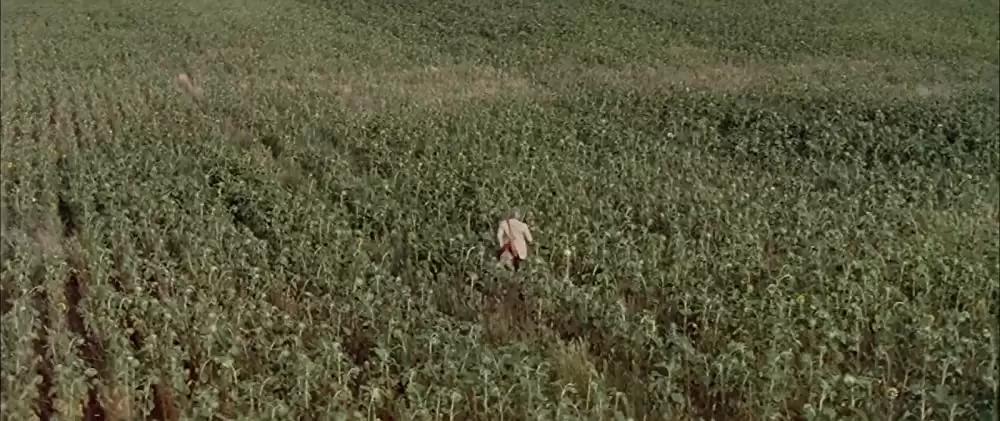 「ブラック・エース」リー・マービンの画像