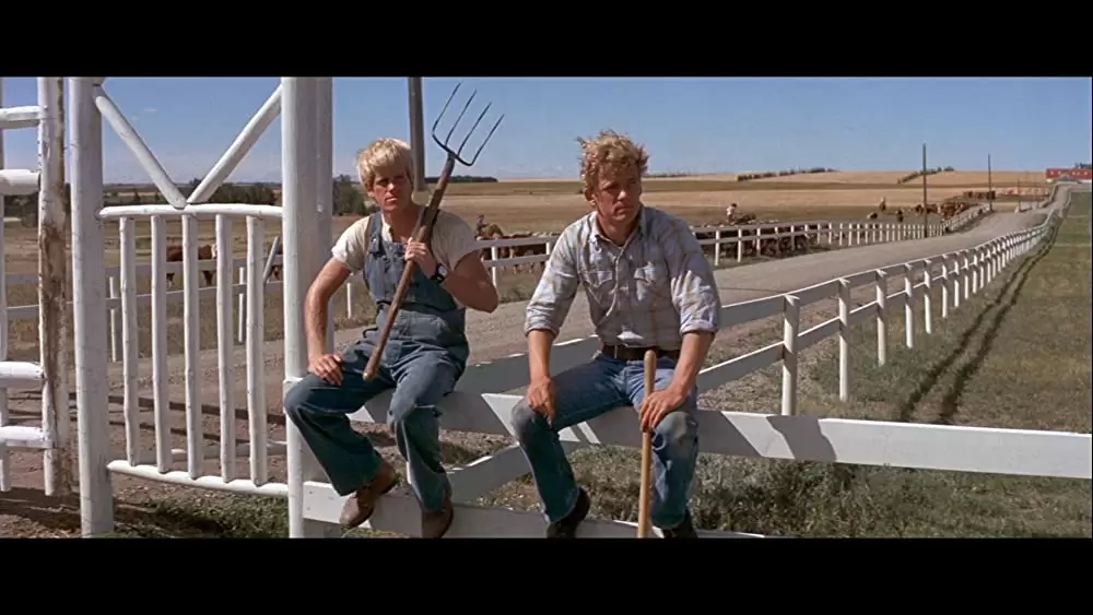 ブラック・エースの画像