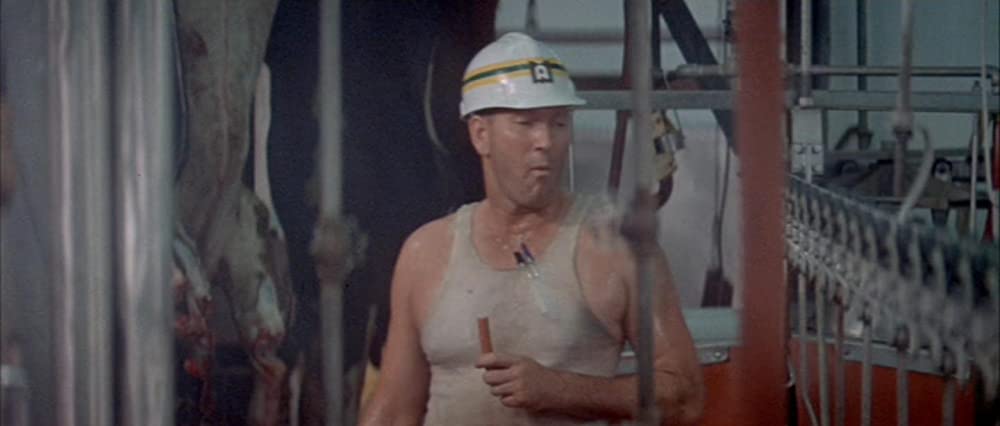 ブラック・エースの画像