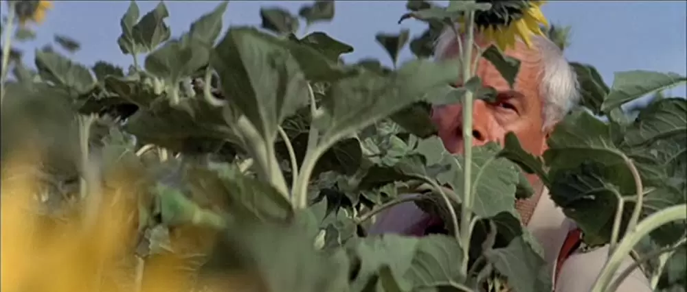 「ブラック・エース」リー・マービンの画像