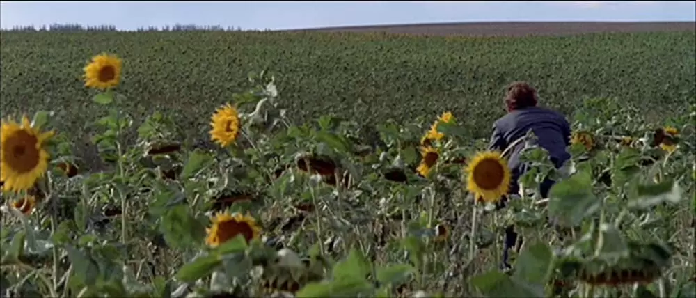 ブラック・エースの画像