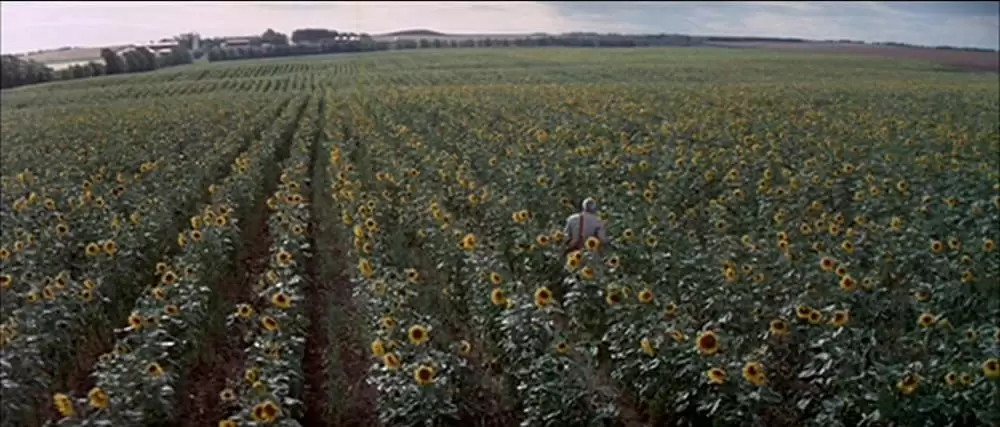 「ブラック・エース」リー・マービンの画像