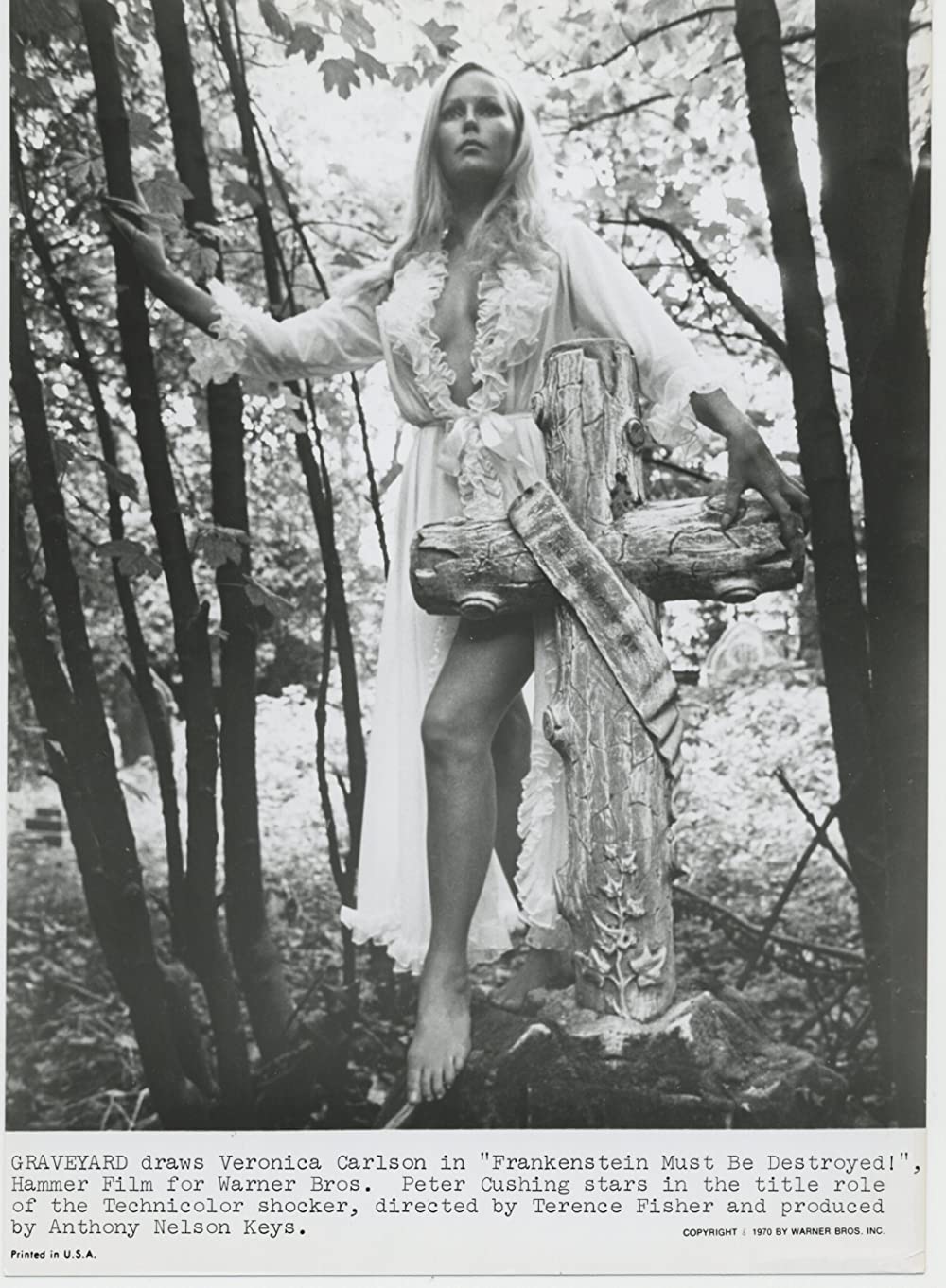 フランケンシュタイン 恐怖の生体実験の画像