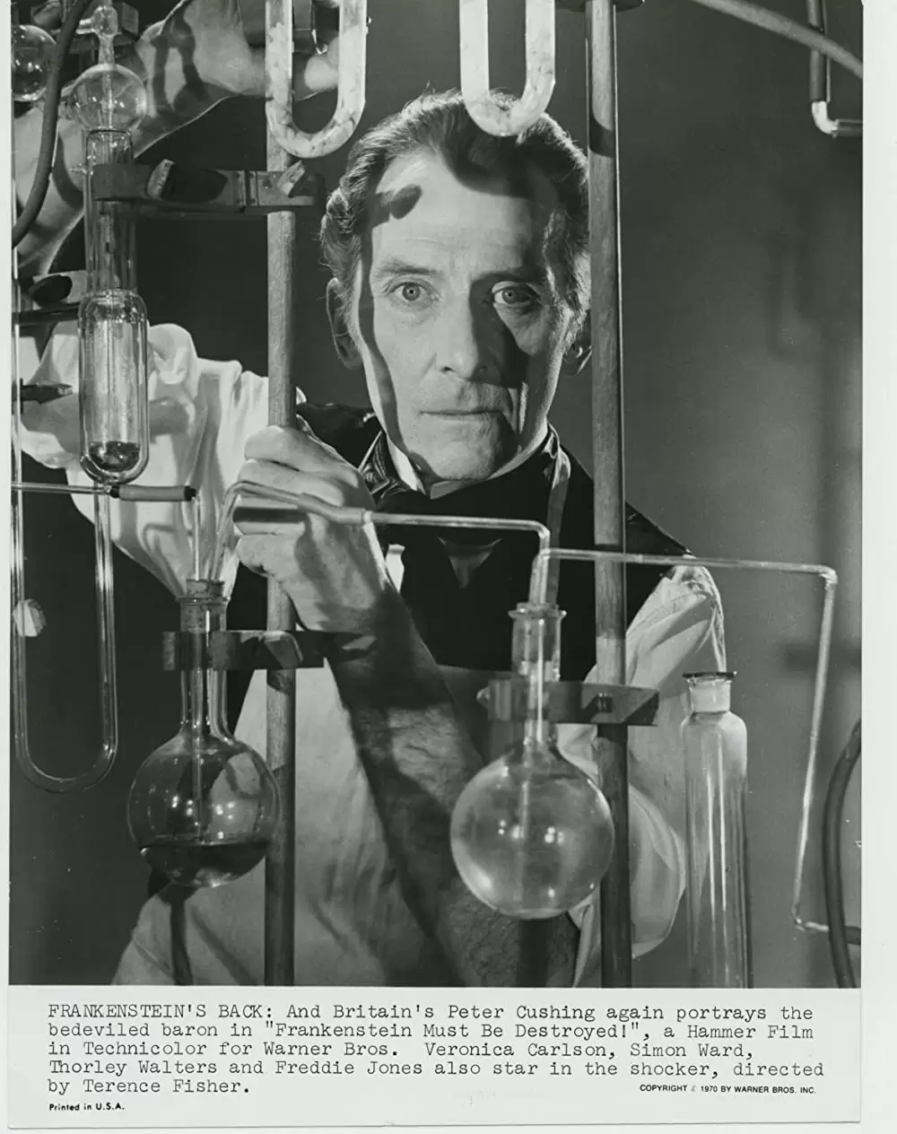 フランケンシュタイン 恐怖の生体実験の画像