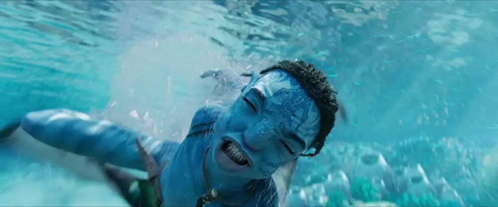 アバター：ウェイ・オブ・ウォーターの画像