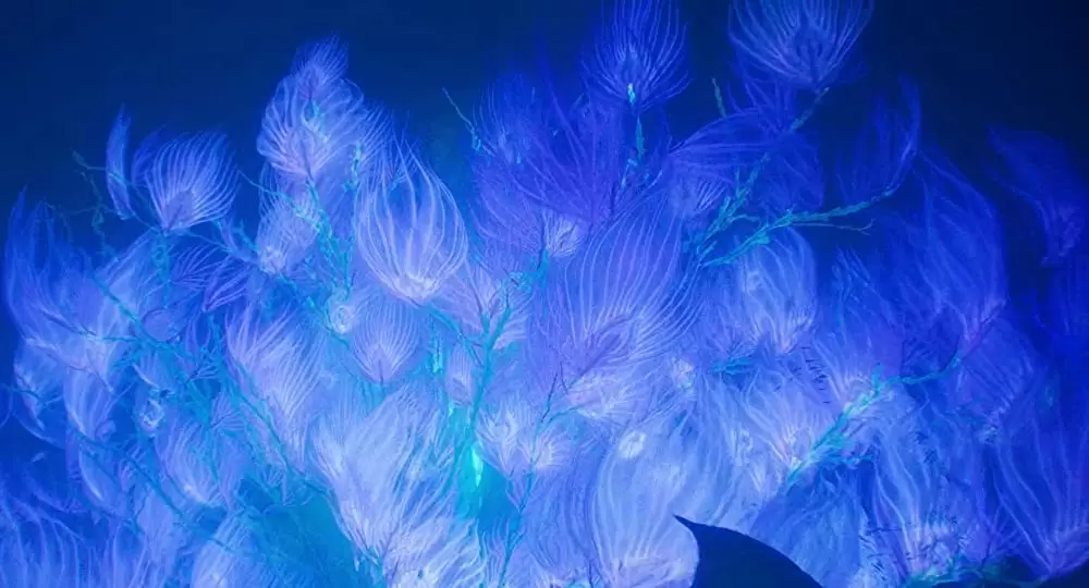 アバター：ウェイ・オブ・ウォーターの画像