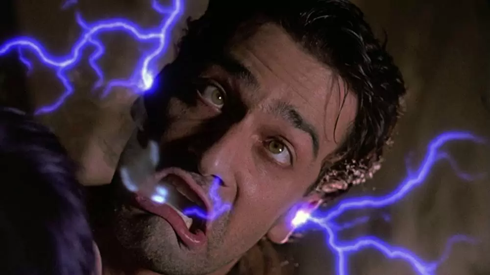 フランケンフッカーの画像