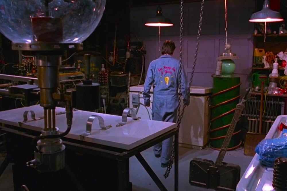 フランケンフッカーの画像