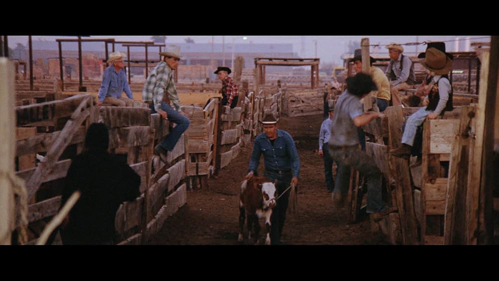 ブルージーンズ・ジャーニーの画像