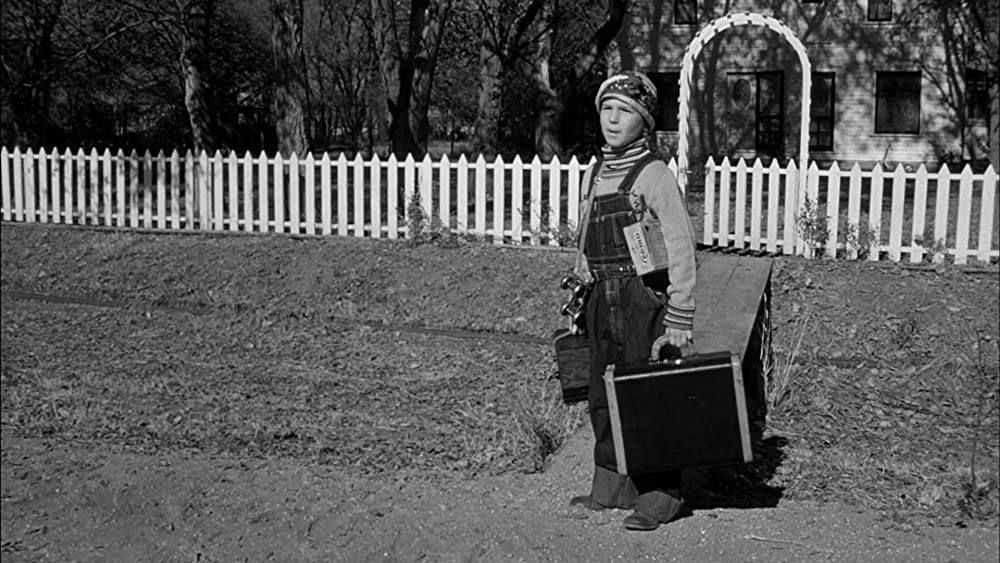 ペーパー・ムーンの画像