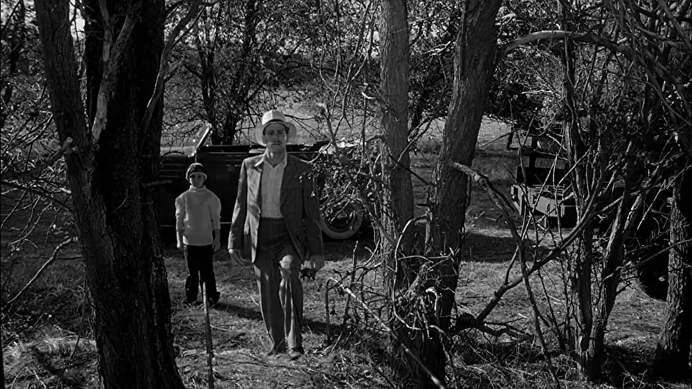 「ペーパー・ムーン」テイタム・オニール & ライアン・オニールの画像